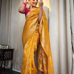 Marziyaa Woven Design Zari Banarasi Saree-picture-29
