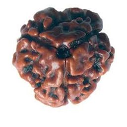 RAVIOUR LIFESTYLE Unisex Brown Pendant-image-64