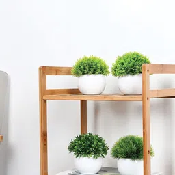 Kuber Industries White 4 Pieces Artificial Plant With Pot-picture-16