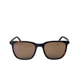 pierre cardin Men Other Sunglasses with UV Protected Lens-206566N9P5370-Matte Havana-image-82