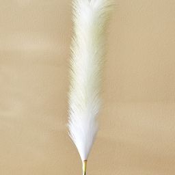 Home Centre Moksha White Artificial Pampa Grass-image-44