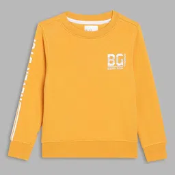 Blue Giraffe Boys Sweatshirt-picture-14