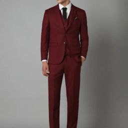 Allen Solly Maroon Slim Fit Texture Three Piece Suit-image-101