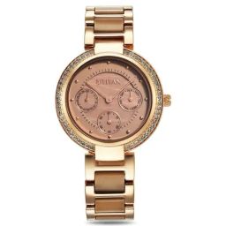 Titan 95187KD03 Acetate Glam Analog Watch for Women-image-35