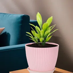 Kuber Industries 6-Pieces Pink & Peach Colored Textured Planters-8