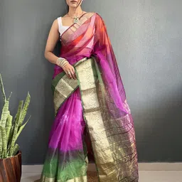 DIVASTRI Ombre Zari Organza Kanjeevaram Saree-picture-28