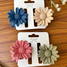 Radhya Accessories Women Set of 4 Claw Clip-90