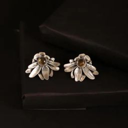 Fabindia Silver Stud Earrings-image-81