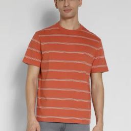 american eagle outfitters American Eagle Orange Cotton Regular Fit Striped T-Shirt-picture-46