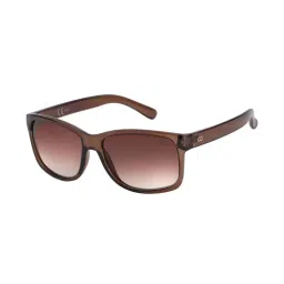 Gio Collection G9279SBRW Brown Rectangular Sunglasses image 2