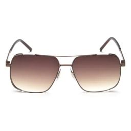 Irus Brown Square UV Protection Sunglasses for Men-image-55