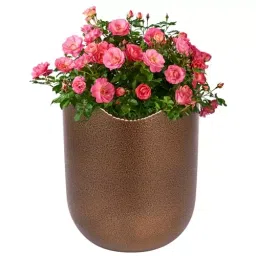 ORILEY Metal Flower Pot Heavy Duty Planter 11 x 10 cm Textured Golden-image-57