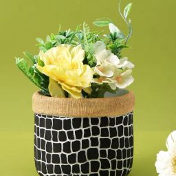 Tayhaa Black Ceramic Planter-image-9