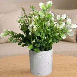 De Gardenia Decorative Small Tabletop Artificial Plant With Pot-picture-10