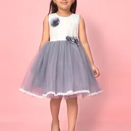 BAESD Net Fit & Flare Dress-47
