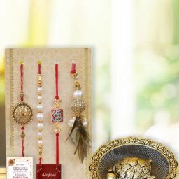eCraftIndia Assorted Multicolor Rakhi with Tortoise Plate-image-51