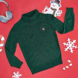 Pantaloons Junior Kids Green Regular Fit Full Sleeves Sweater-image-66
