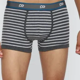 Men Grey Stripe Trunk-image-37