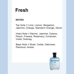 Spykar Men Frost Azul Perfume - 100 ml image 5