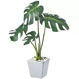 AS ONE Artificial Polyester Tree & Ceramic Pot White For Desktop, 61-7227-63 (Set of 3 Piece)-image-36