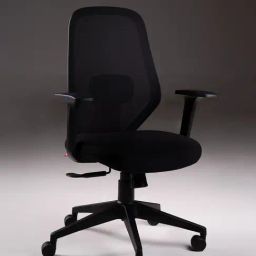 Durian Modern Black Fabric Office Furniture-image-10