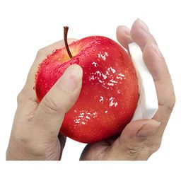iLife Fruit Dewaxing Cleaning Reusable Sponge Pack of 4 - White-image-19