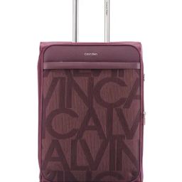 CALVIN KLEIN Gabriana Crushed Berry 8 Wheels Medium Soft Cabin Trolley Bag-image-65