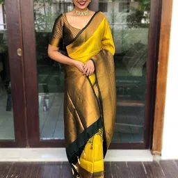 INDIOTSAV Woven Design Zari Banarasi Saree-22