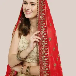 Dupatta Bazaar Red Zari Work Dupatta image 4