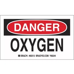 BRADY Gas Cylinder Label 3 x 5 inch Paper, 3XEZ1 (Pack of 10)-image-97