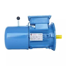 Cranosis S4 Duty 10 HP 4 Pole 2880 RPM Blue Cast Iron DC Brake Motor-image-21