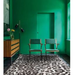 Ddecor Rugs Grey Polypropylene Textured Rugs-29