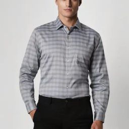 Van Heusen Grey Regular Fit Checks Shirt-image-77