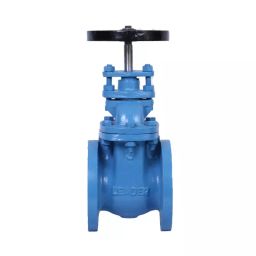Leader 3 Inch, 80 mm Cast Iron Wheel Operated Gate Valve CI 004-image-33