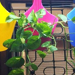 go hooked Hook Railing Planter Hanging Pots for Plant image 4