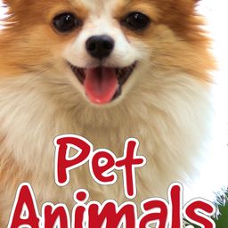 Die Cut Board Book Pet Animals - English-image-57