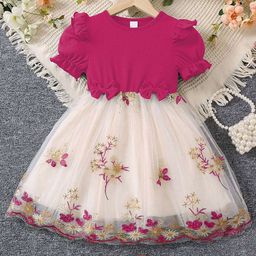 BAESD Girls Embroidered Puff Sleeve Fit & Flare Dress-picture-11