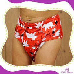Bembika Reusable Cloth Diapers Multi Print Pack of 2 - Blue Red image 2