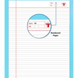 target publication pvt ltd Target Double Line Ruled Small Notebooks Pack of 12 - 76 Pages each image 3