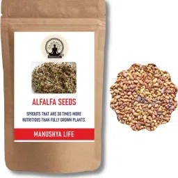 Alfalfa seeds for sprouting, 950 grm, Alfa alfa seeds Seed-image-30