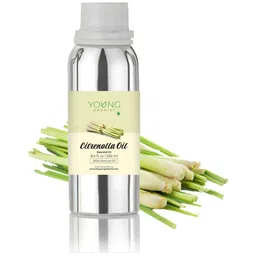 YOUNG CHEMIST Citronella Essential Oil - 250 ml-image-73