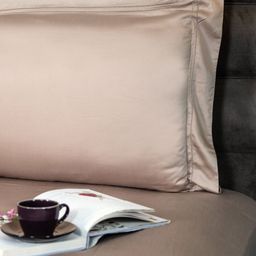 ERBA Rose King Bedsheet with 2 Pillow Covers-image-124
