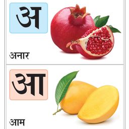 inikao Mini Board Book Set: English Alphabets, Numbers 1-20, Hindi Alphabets & Consonants - 3 Picture Books for Kids Early Learning image 5