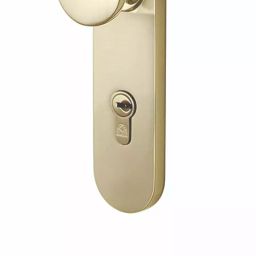 Bonus G5 Reflex 65 mm Brass Matt Antique Finish Pearl Mortice Lock Set-image-77