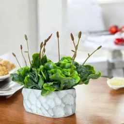Art Street Brown ABS Plastic Artificial Flowers and Plants For Home D cor-18