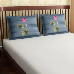 Petal Home Lotus Blue 300 TC Cotton Pillow Covers - Set of 2-image-24