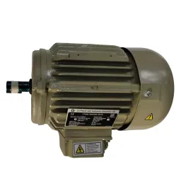 CG Power Three Phase 1 HP 4 Pole Foot Mounted IE2 Cast Iron Body Induction Motor-image-76