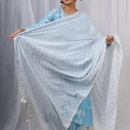 Chidiyaa Geometric Block Printed Cotton Dupatta-picture-20