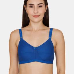 Rosaline by Zivame Blue Non Wired Non Padded T-Shirt Bra-image-85