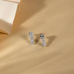 crash.club By CKC Elegant Cubic Zircon Drop Earrings-image-58